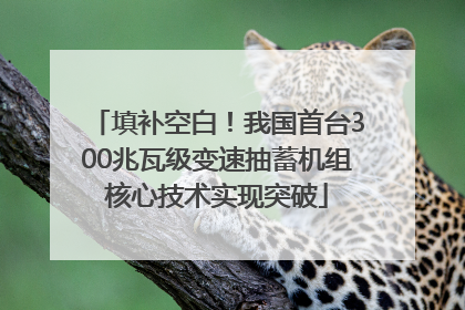 填补空白！我国首台300兆瓦级变速抽蓄机组核心技术实现突破