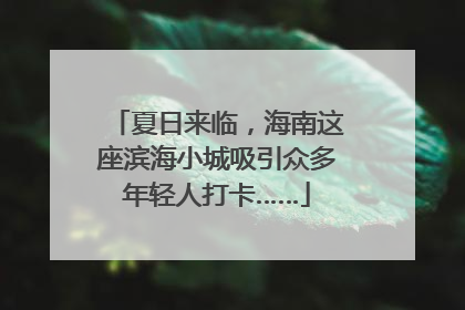夏日来临，海南这座滨海小城吸引众多年轻人打卡……