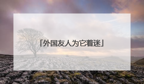 外国友人为它着迷