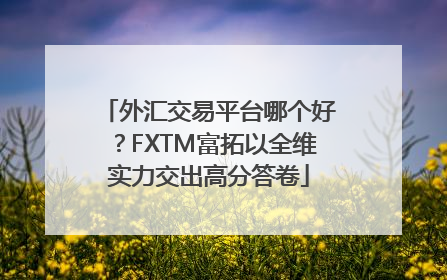 外汇交易平台哪个好？FXTM富拓以全维实力交出高分答卷