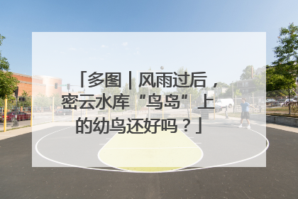 多图｜风雨过后，密云水库“鸟岛”上的幼鸟还好吗？