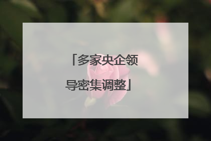 多家央企领导密集调整