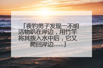 夜钓男子发现一不明活物趴在岸边，用竹竿将其拨入水中后，它又爬回岸边……