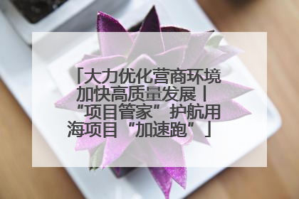 大力优化营商环境 加快高质量发展丨“项目管家”护航用海项目“加速跑”