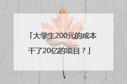 大学生200元的成本干了20亿的项目？