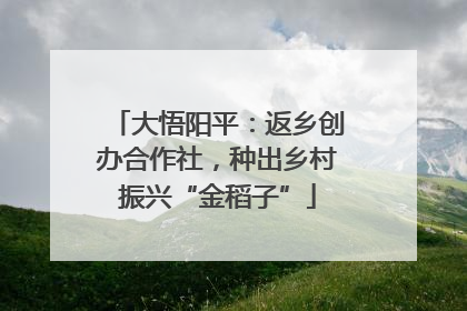 大悟阳平：返乡创办合作社，种出乡村振兴“金稻子”