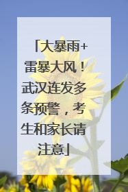 大暴雨+雷暴大风！武汉连发多条预警，考生和家长请注意
