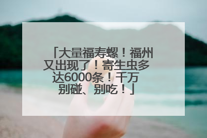 大量福寿螺！福州又出现了！寄生虫多达6000条！千万别碰、别吃！