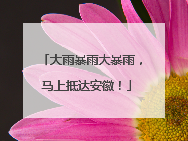 大雨暴雨大暴雨，马上抵达安徽！