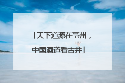 天下道源在亳州，中国酒道看古井