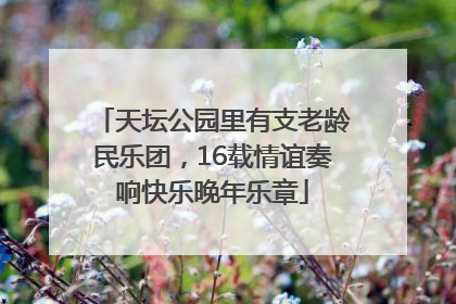 天坛公园里有支老龄民乐团，16载情谊奏响快乐晚年乐章