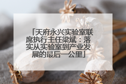 天府永兴实验室联席执行主任梁斌：落实从实验室到产业发展的最后一公里