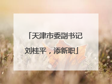 天津市委副书记刘桂平，添新职