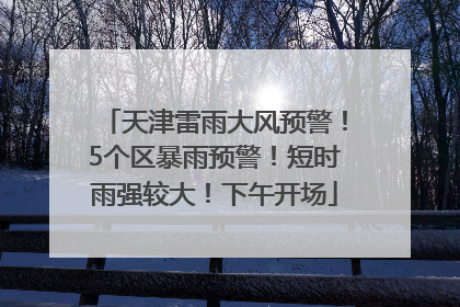 天津雷雨大风预警！5个区暴雨预警！短时雨强较大！下午开场