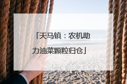 天马镇：农机助力油菜颗粒归仓