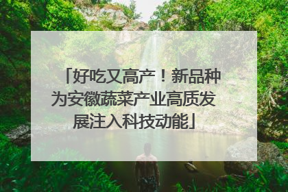 好吃又高产！新品种为安徽蔬菜产业高质发展注入科技动能
