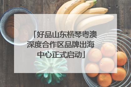 好品山东横琴粤澳深度合作区品牌出海中心正式启动