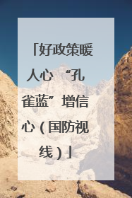 好政策暖人心 “孔雀蓝”增信心（国防视线）