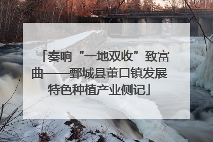 奏响“一地双收”致富曲——鄄城县董口镇发展特色种植产业侧记