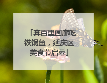 奔百里画廊吃铁锅鱼，延庆区美食节启幕
