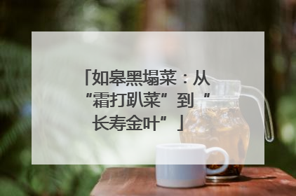 如皋黑塌菜：从“霜打趴菜”到“长寿金叶”