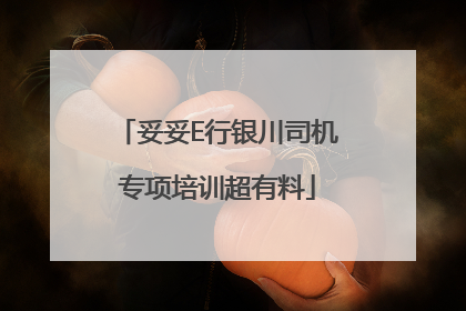妥妥E行银川司机专项培训超有料