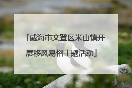 威海市文登区米山镇开展移风易俗主题活动