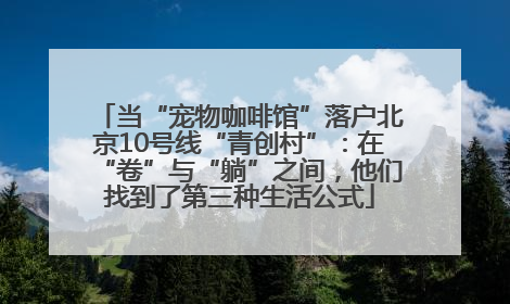当“宠物咖啡馆”落户北京10号线“青创村”：在“卷”与“躺”之间，他们找到了第三种生活公式
