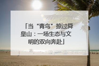 当“青鸟”掠过舜皇山：一场生态与文明的双向奔赴