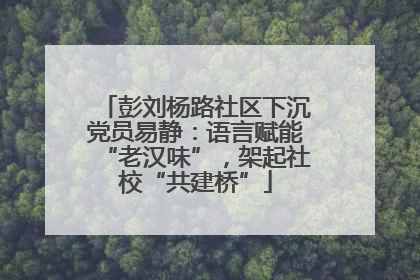 彭刘杨路社区下沉党员易静：语言赋能“老汉味”，架起社校“共建桥”