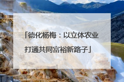 德化杨梅：以立体农业打通共同富裕新路子