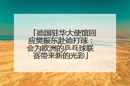 德国驻华大使馆回应樊振东赴德打球：会为欧洲的乒乓球联赛带来新的光彩