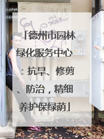 德州市园林绿化服务中心：抗旱、修剪、防治，精细养护保绿荫