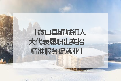 微山县驩城镇人大代表履职出实招精准服务促就业