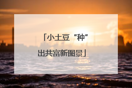 小土豆“种”出共富新图景