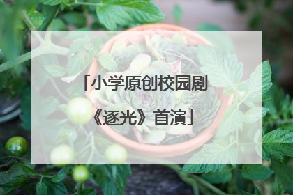小学原创校园剧《逐光》首演