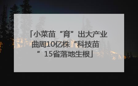 小菜苗“育”出大产业 曲周10亿株“科技苗”15省落地生根