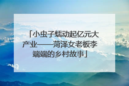 小虫子蠕动起亿元大产业——菏泽女老板李端端的乡村故事