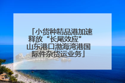 小货种精品港加速释放“长尾效应” 山东港口渤海湾港国际件杂货运业务