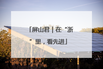 屏山君｜在“浙”里，看先进