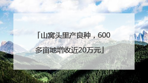 山窝头里产良种，600多亩地增收近20万元