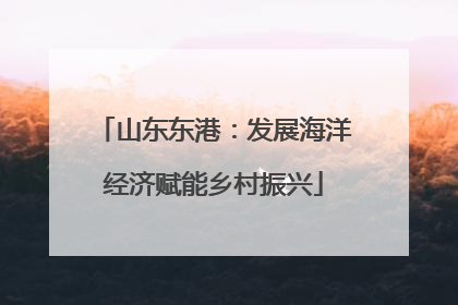 山东东港：发展海洋经济赋能乡村振兴