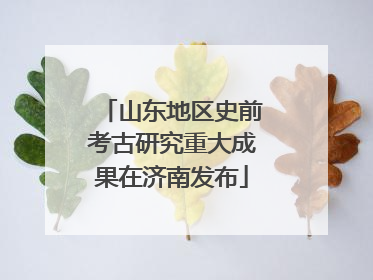 山东地区史前考古研究重大成果在济南发布