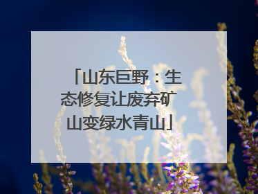 山东巨野：生态修复让废弃矿山变绿水青山