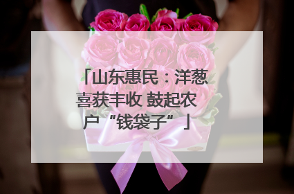 山东惠民：洋葱喜获丰收 鼓起农户“钱袋子”