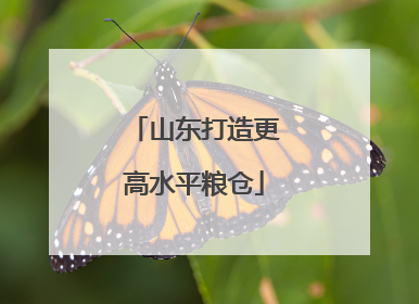 山东打造更高水平粮仓