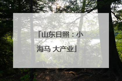山东日照：小海马 大产业