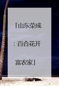 山东荣成：百合花开富农家