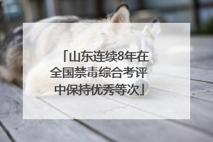 山东连续8年在全国禁毒综合考评中保持优秀等次