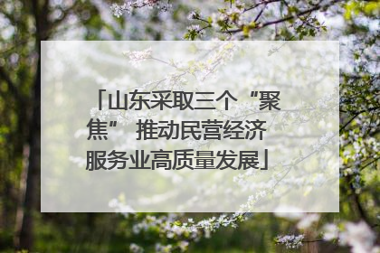 山东采取三个“聚焦” 推动民营经济服务业高质量发展